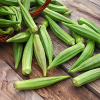 Okra